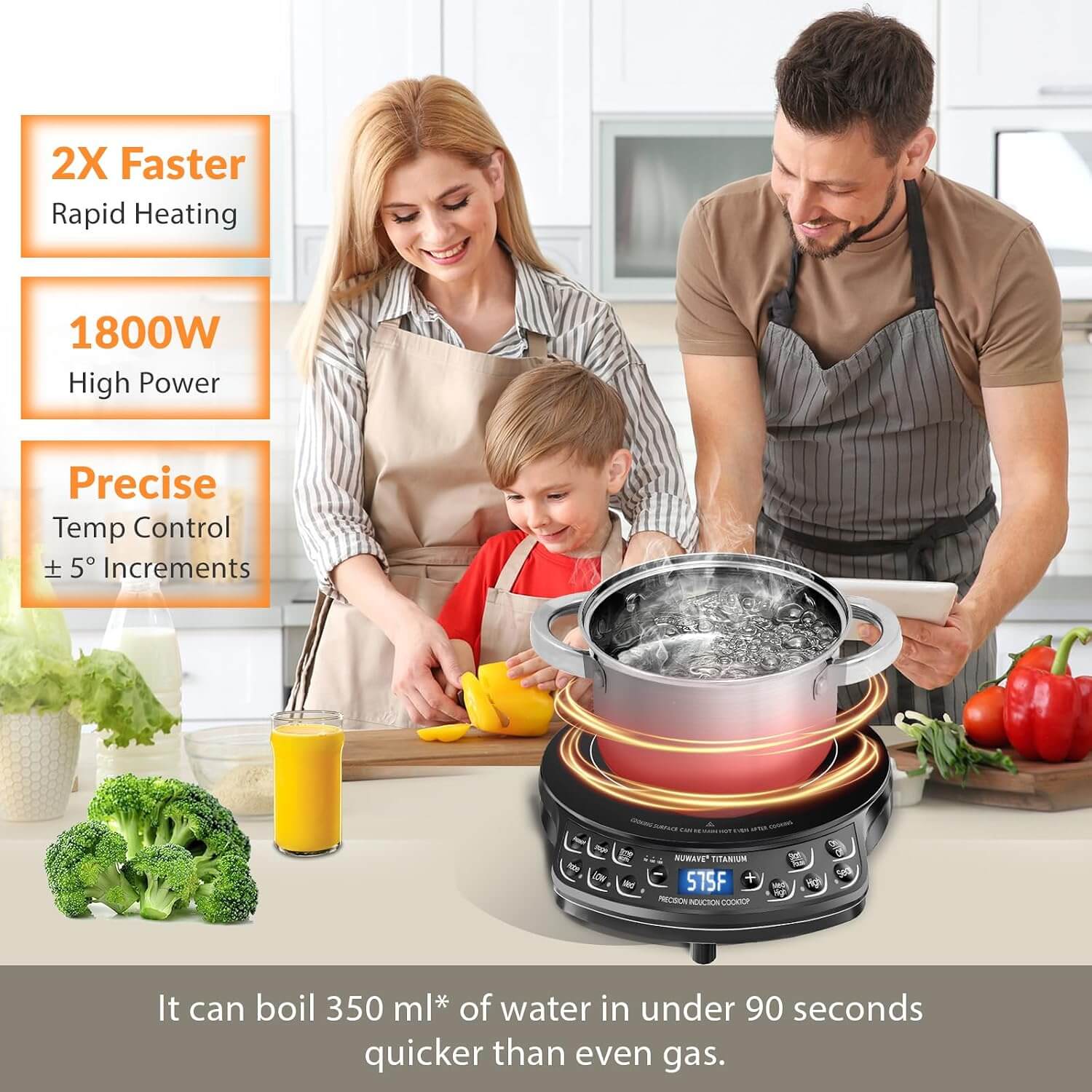 Nuwave INDUCTION TITANIUM Cooktop Hot Plate