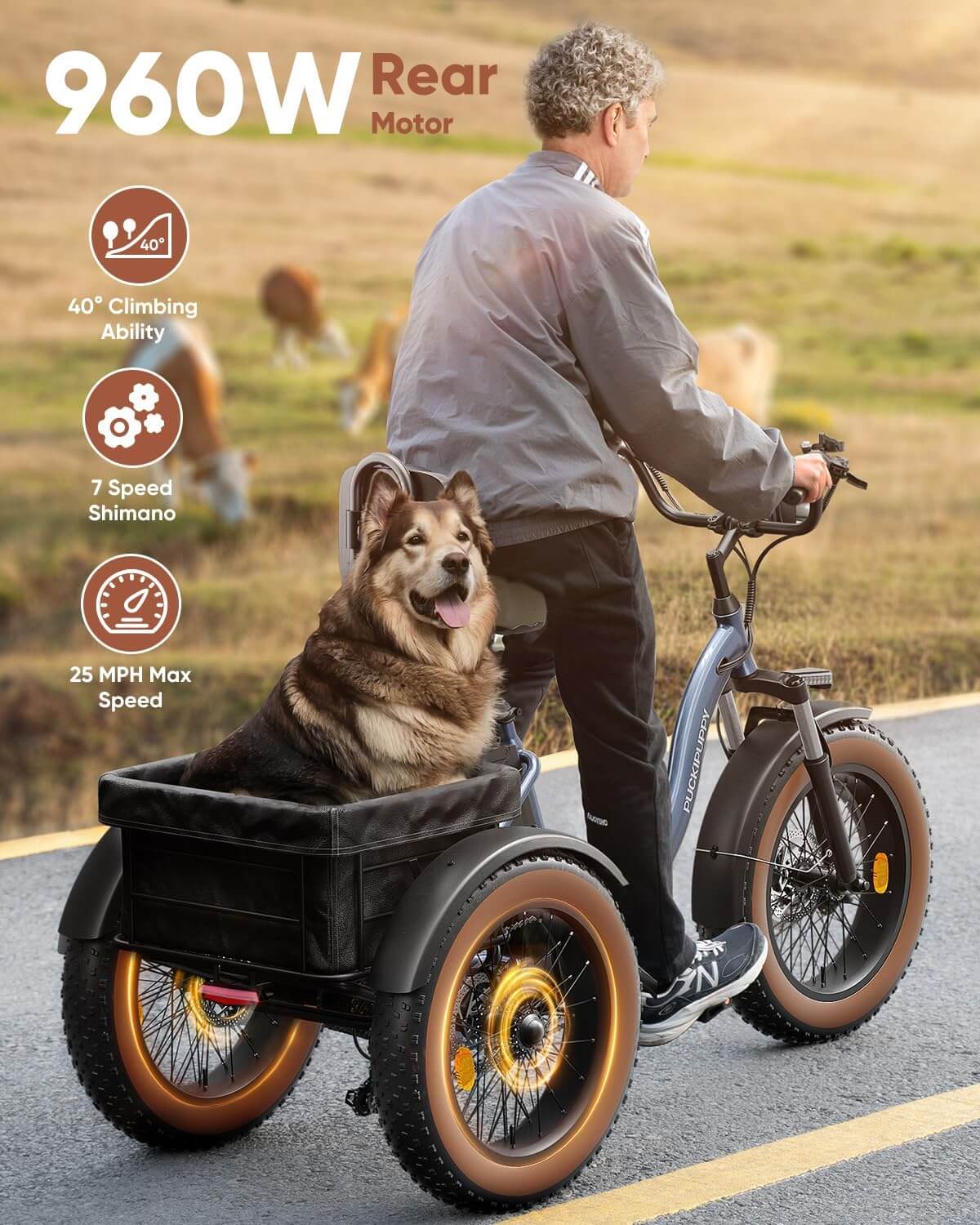 PUCKIPUPPY ALASKAN 48V 960W Folding Fat Tire Electric Trike