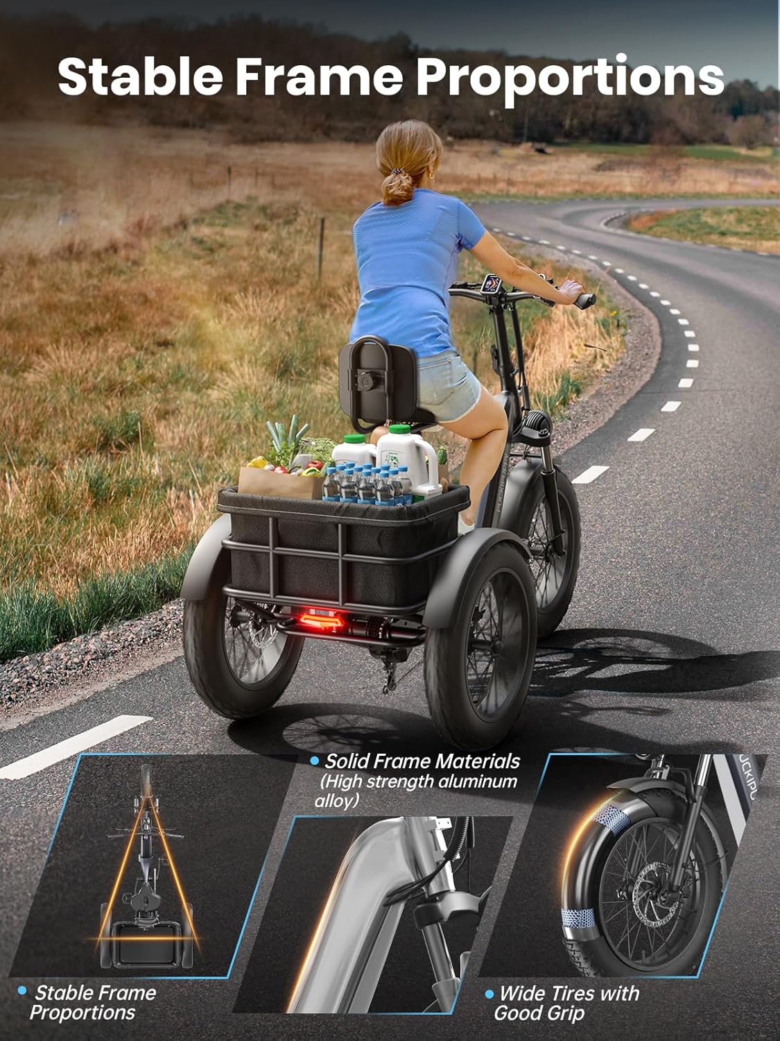 PUCKIPUPPY HUSKY 48V Fat Tire Electric Trike