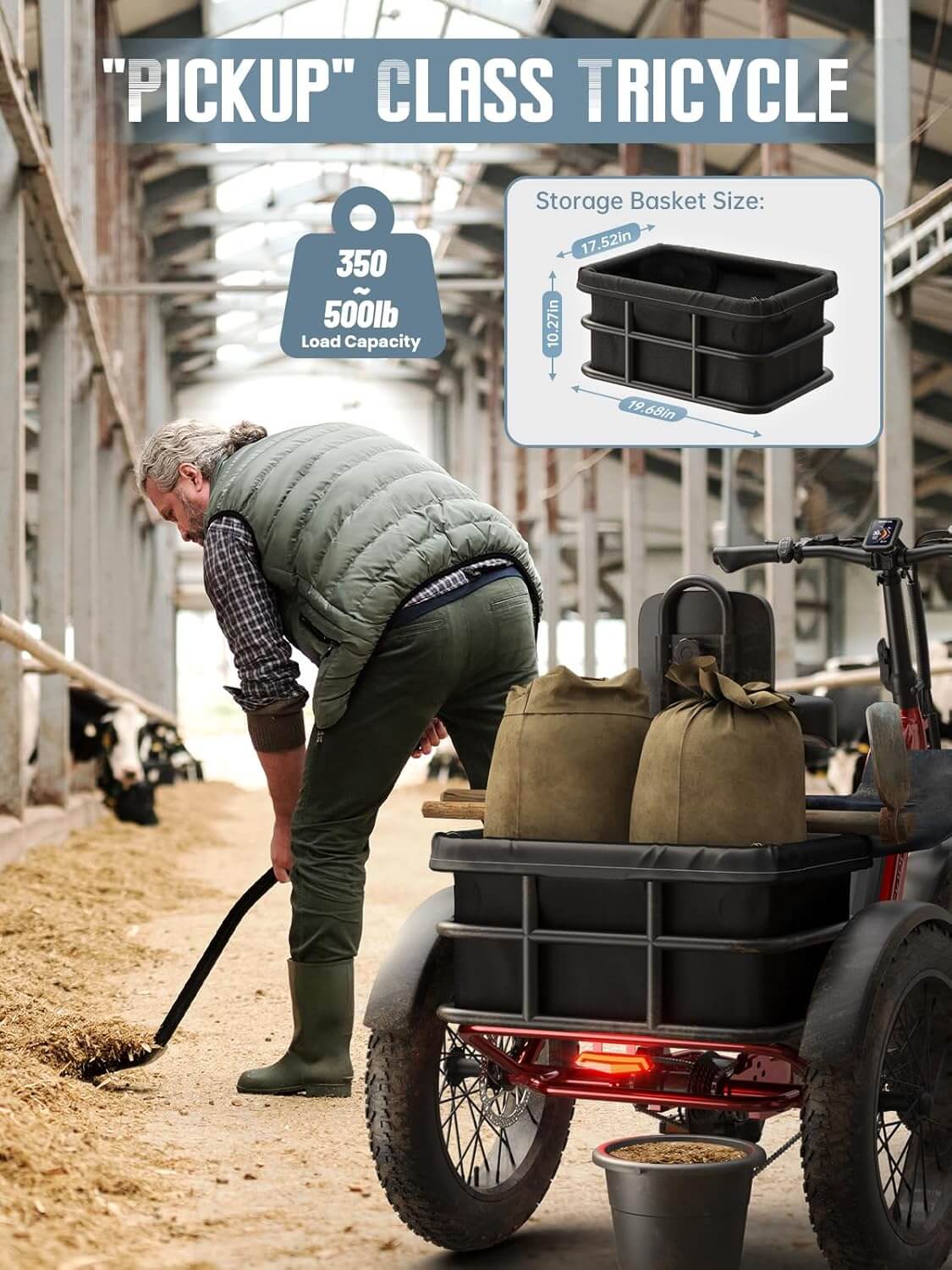 PUCKIPUPPY HUSKY PLUS 48V Dual Battery Fat Tire Electric Trike