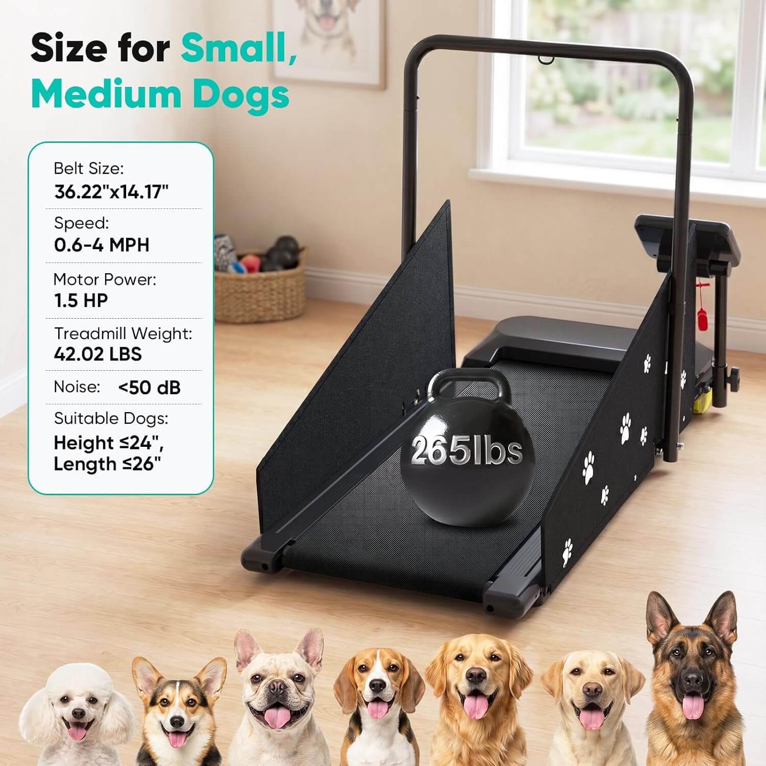 Petbobi CS1247 Treadmill for Small & Medium Dogs
