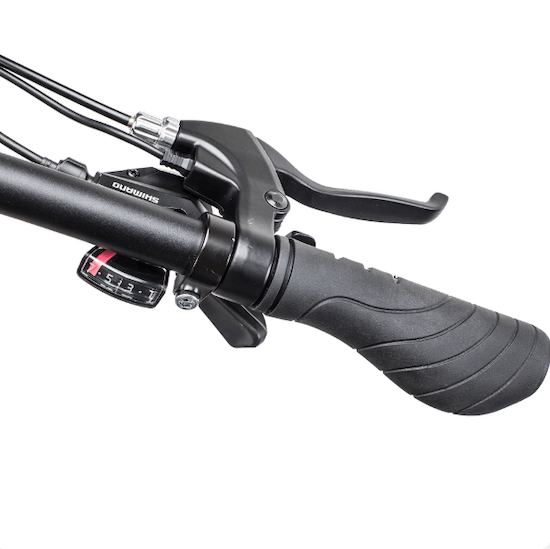 Qualisports BELUGA 500W 48V 20" 7 Speed Fat Tire Folding Electric Bike