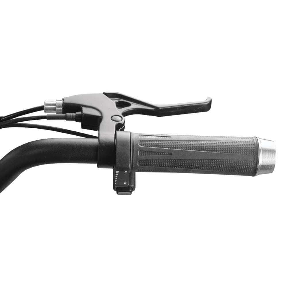 2025 Rambo LIL' WHIP 3.0 16" 250W Single Speed Kids' Electric Bike