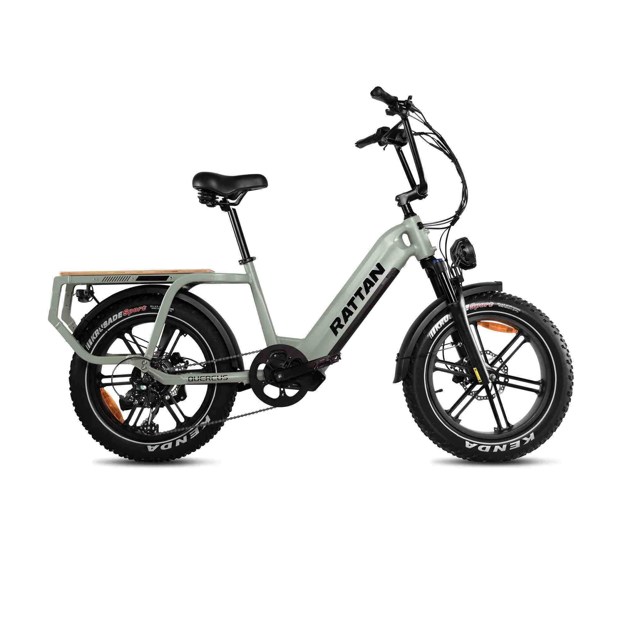 2024 Rattan QUERCUS 750W 48V Long Range Utility Magnesium Fat Tire Electric Bike