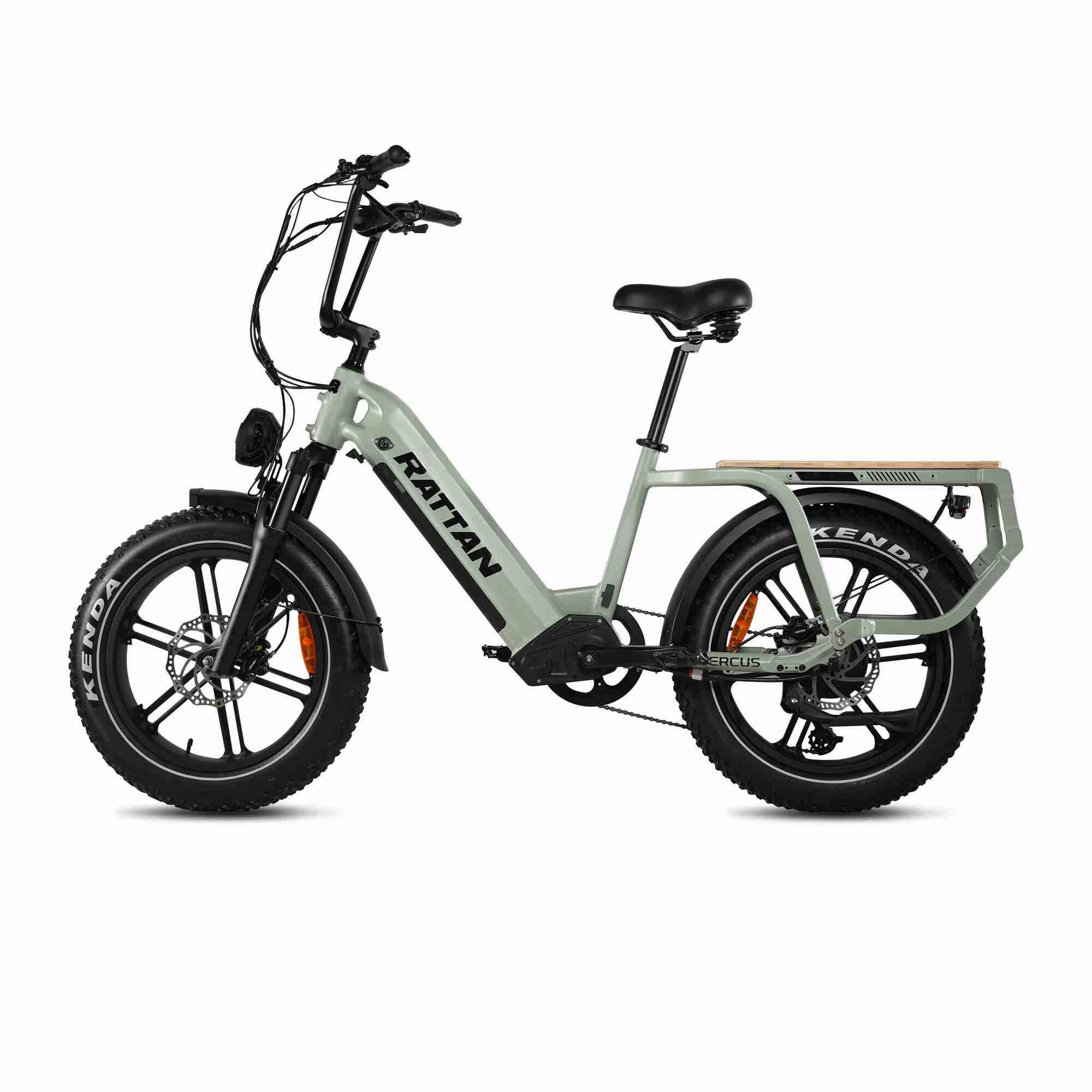 2024 Rattan QUERCUS 750W 48V Long Range Utility Magnesium Fat Tire Electric Bike