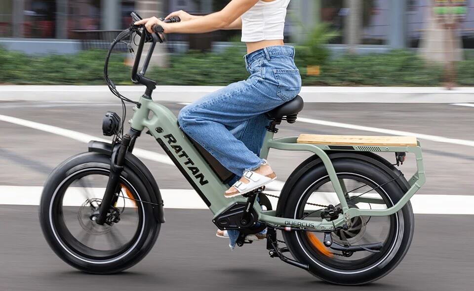 Rattan 750W 20Ah Cargo Ebike - Up to 80 Miles, Family Fat Tire Electric Bike Rattan 750W 20Ah Cargo Ebike - Up to 80 Miles, Family Fat Tire Electric Bike