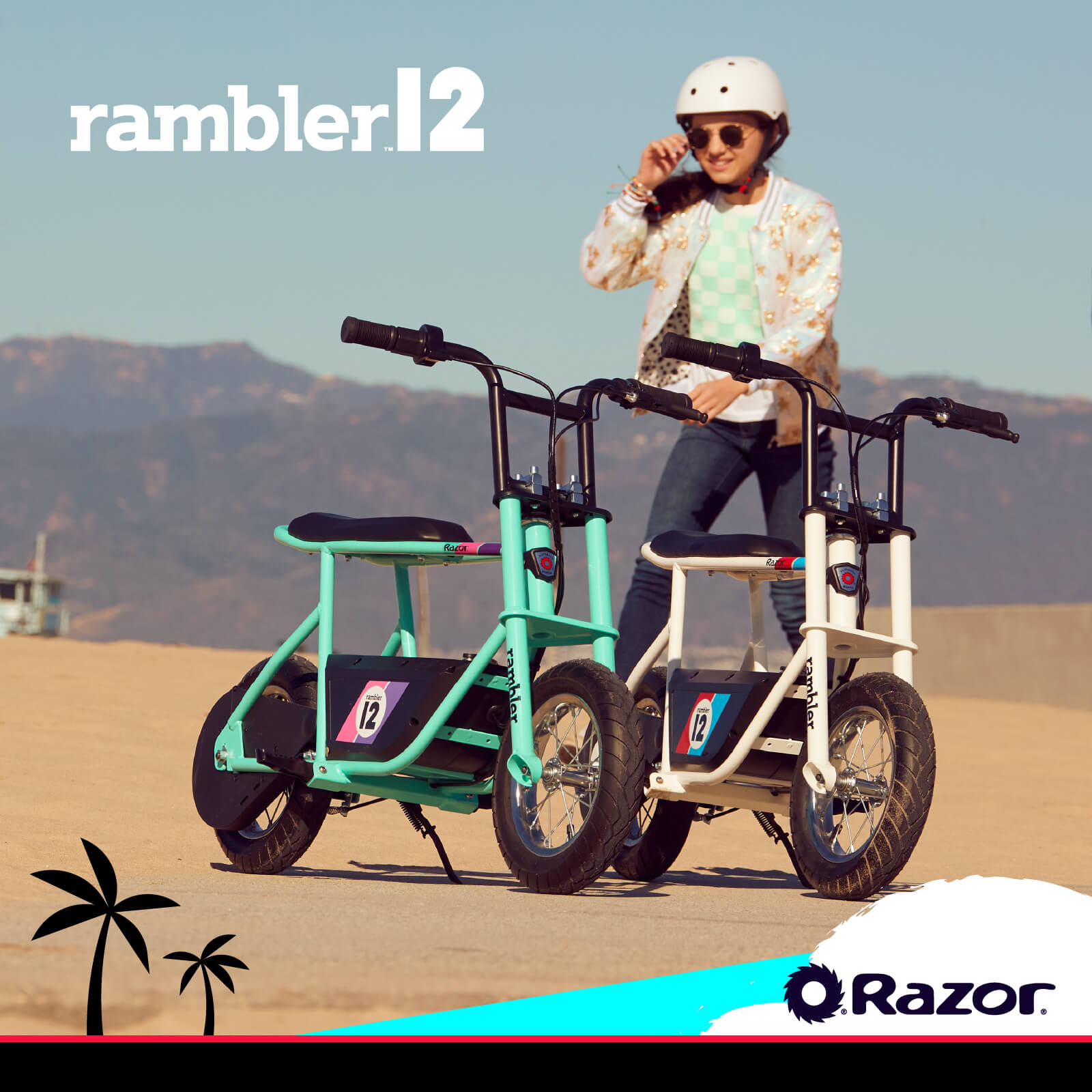 Razor RAMBLER 12 250W Retro Electric Bike