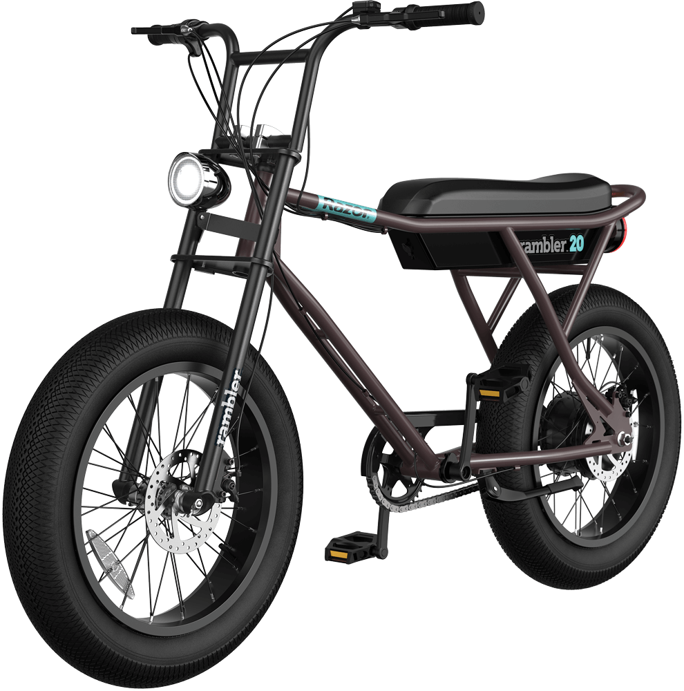 Razor RAMBLER 20 500W Retro Electric Bike