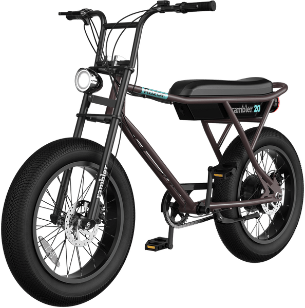 Razor RAMBLER 20 500W Retro Electric Bike — Upzy.com