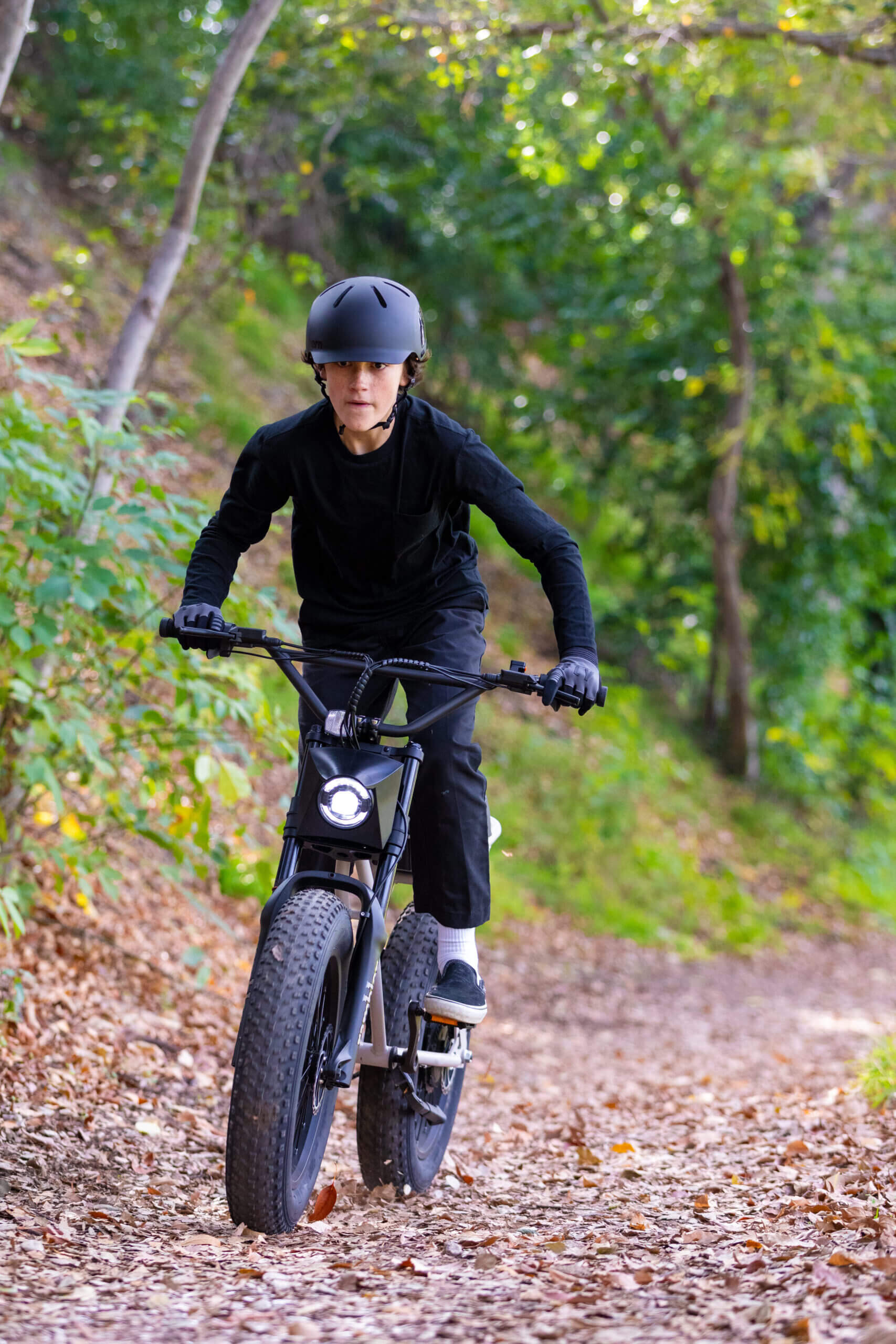 Razor RAMBLER TRL 750W Retro Electric Bike