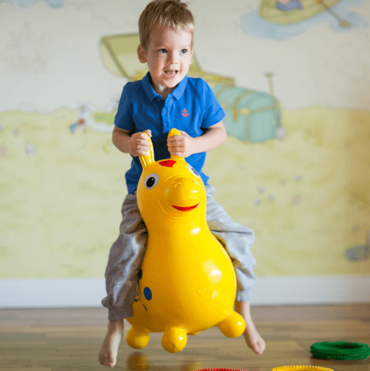 Rody Inflatable Bounce Horse With Pump