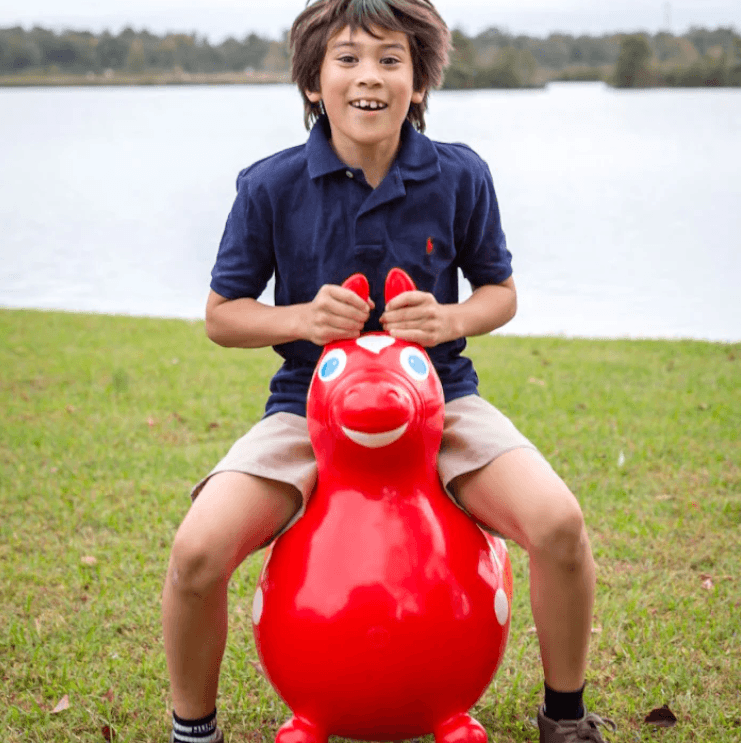 Rody MAX Inflatable Bounce Horse With Pump