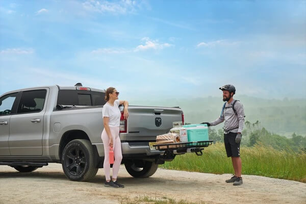 Saris MHS Cargo Tray Basket