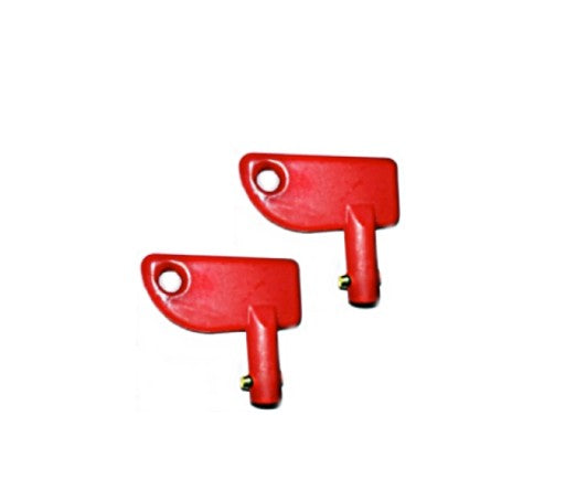 Surrey Replacement KEY for Hitch Hiker Electric Pedal Assist