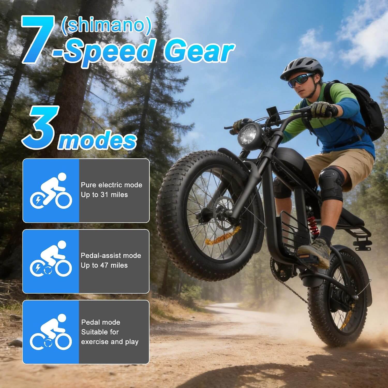 Sutyztsis FX20 3000W 48V Fat Tire Electric Dirt Bike