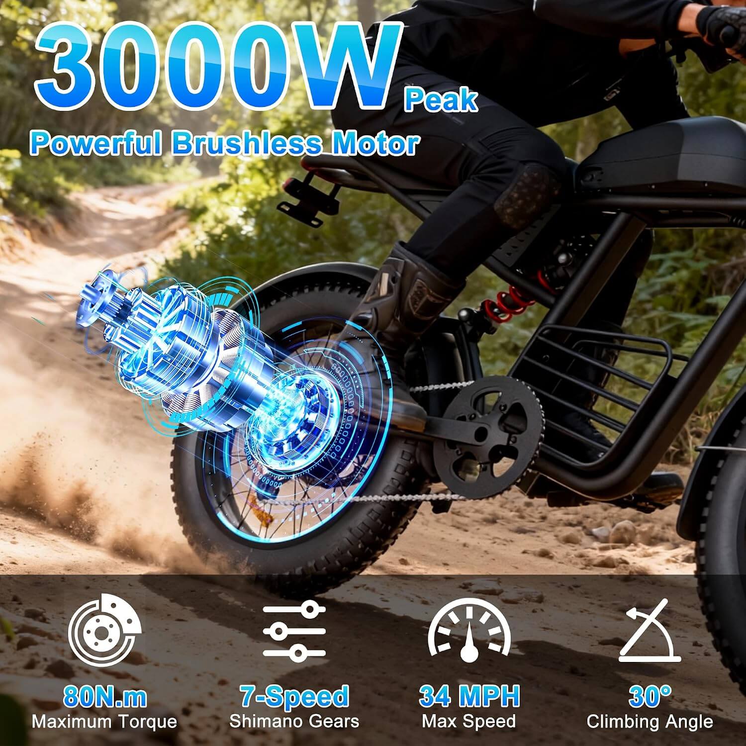 Sutyztsis FX20 3000W 48V Fat Tire Electric Dirt Bike
