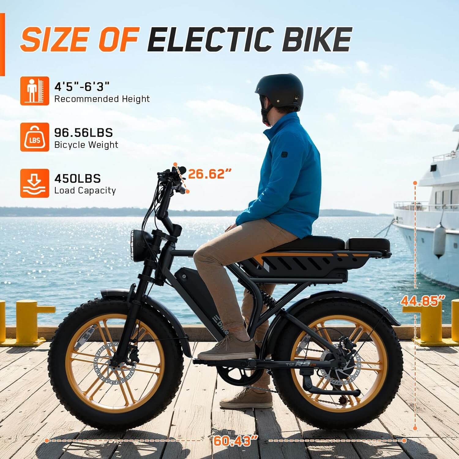 TS TST GRP 1500W 48V Suspension Fat Tire Electric Bike