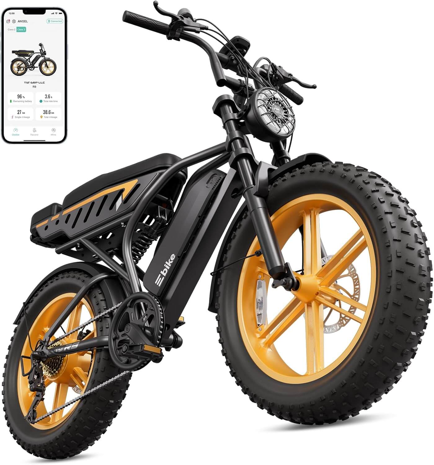 TS TST GRP 1500W 48V Suspension Fat Tire Electric Bike
