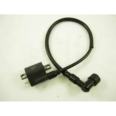 TaoTao Replacement IGNITION COIL 200# For ATA-125F1, Rhino 250 ATV