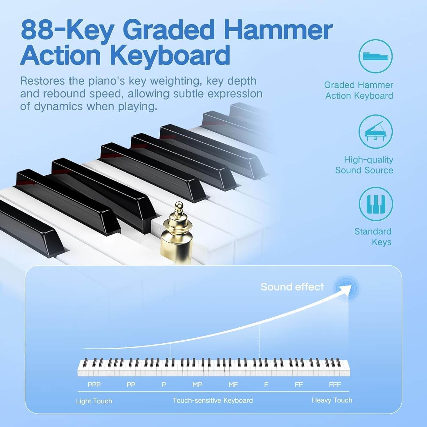 Terence P50 88-Key Full Size Weighted Digital Keyboard Piano