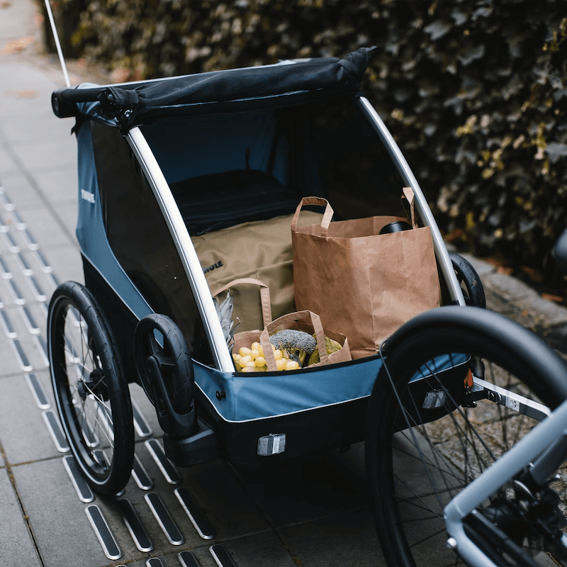 Thule COURIER Kids Dog Cargo Bike Trailer