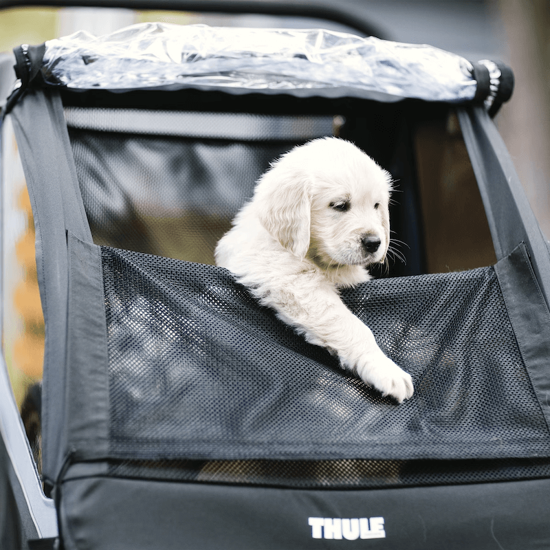 Thule COURIER Kids Dog Cargo Bike Trailer