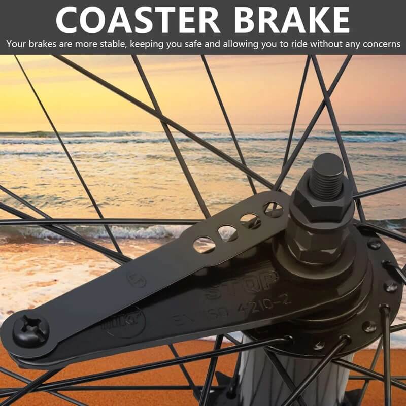 Tracer WH-T952636C Alloy Fat Rims Wheel Set for 26"x3.0,4.0 Tire Single Speed Bikes