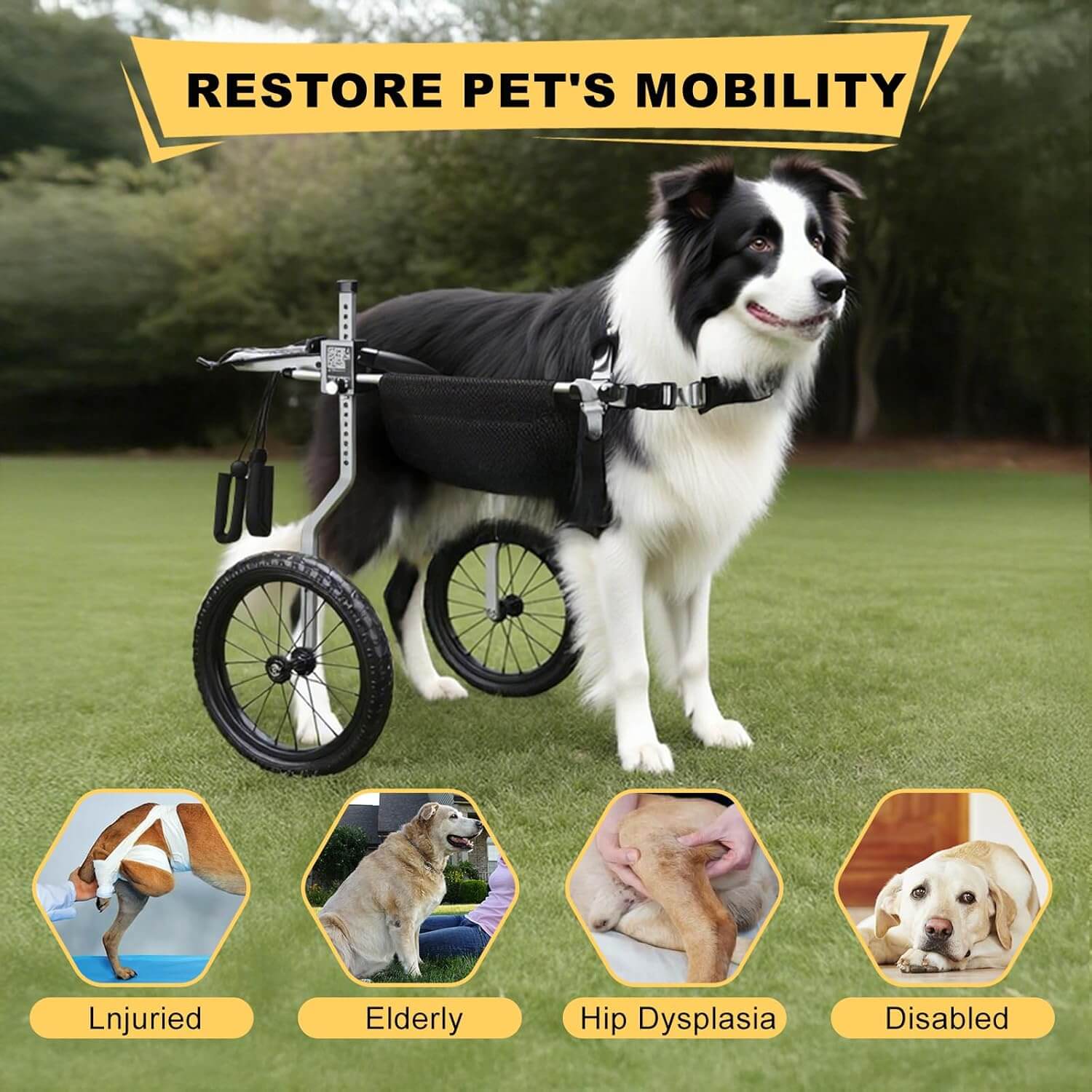 Virbraroo MEDIUM Dog Wheelchair for Back Legs, Corgi Dachshund