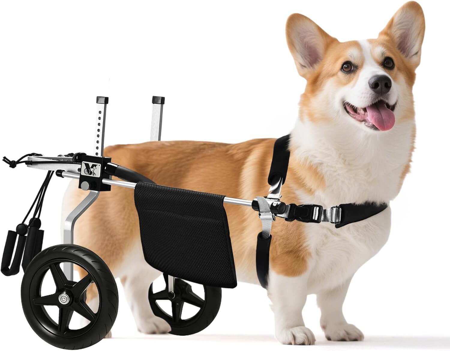 Virbraroo MEDIUM Dog Wheelchair for Back Legs, Corgi Dachshund