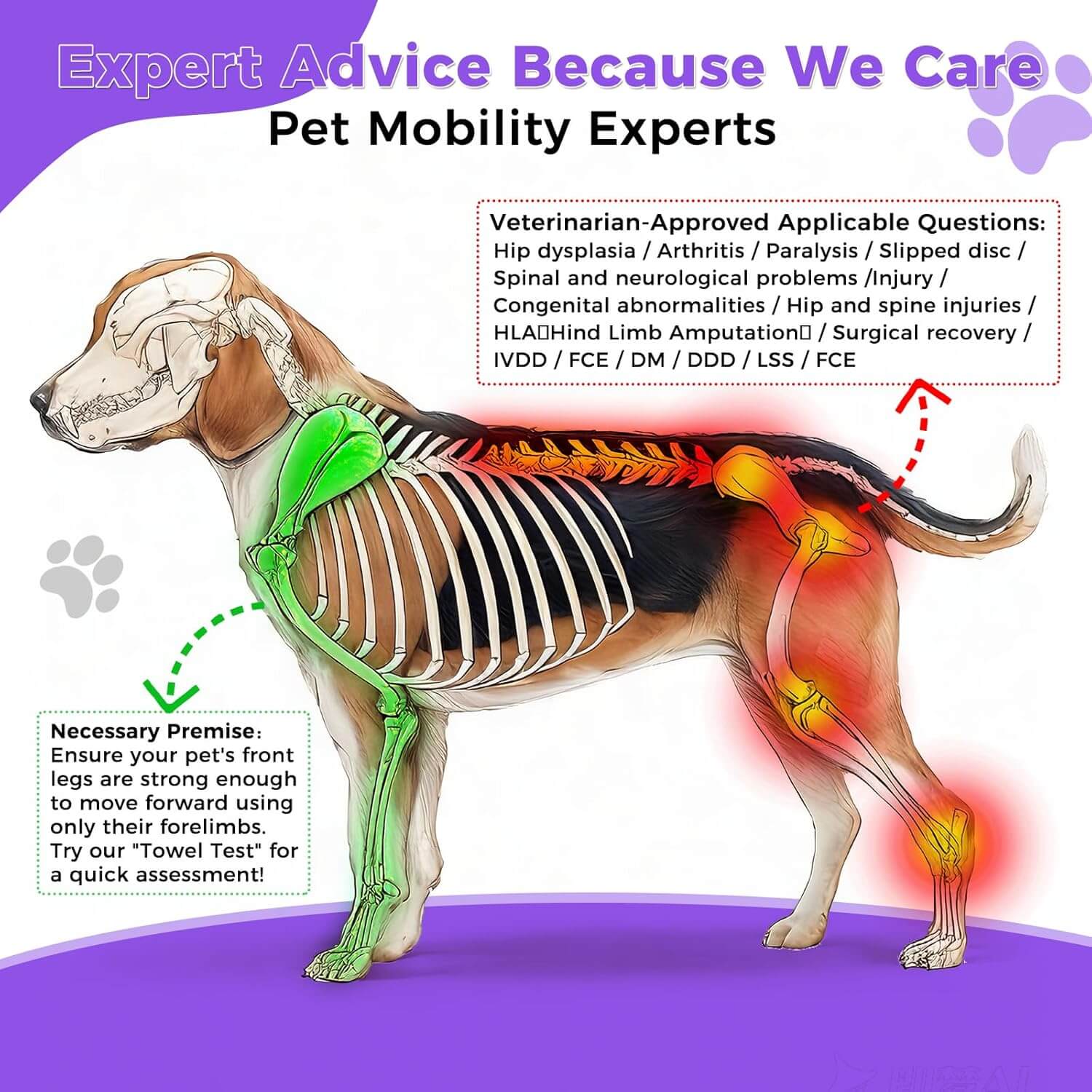 Virbraroo XXL Dog Wheelchair for Back Legs, All-Terrain Tires