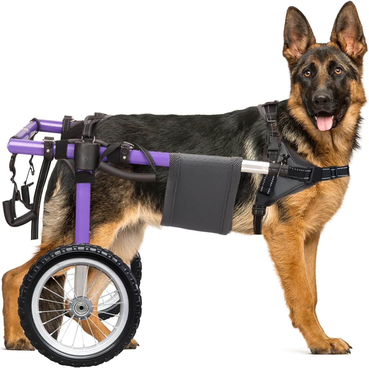 Virbraroo XXL Dog Wheelchair for Back Legs, All-Terrain Tires
