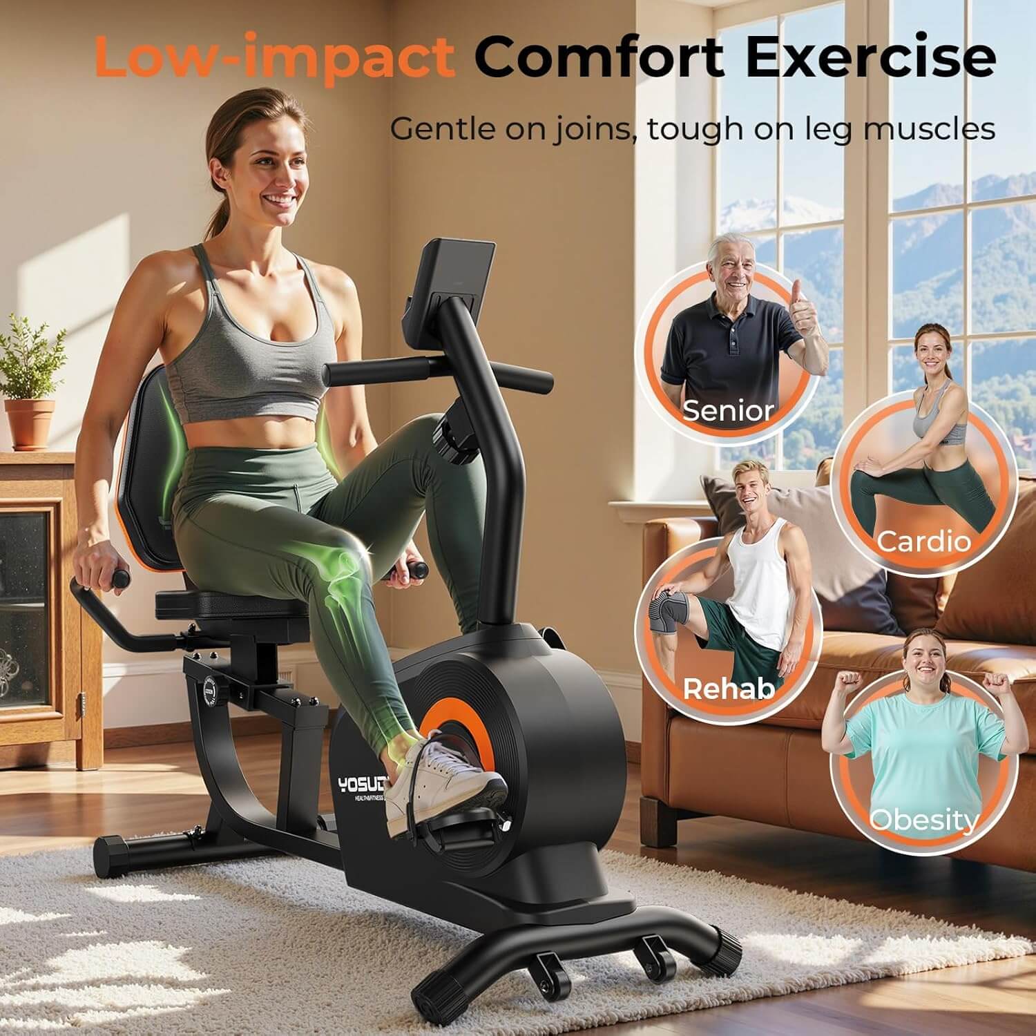 Yosuda Recumbent Exercise Bike
