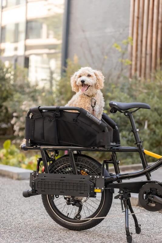 Yuba FASTRACK V2 Compact Commuter Electric Cargo Bike