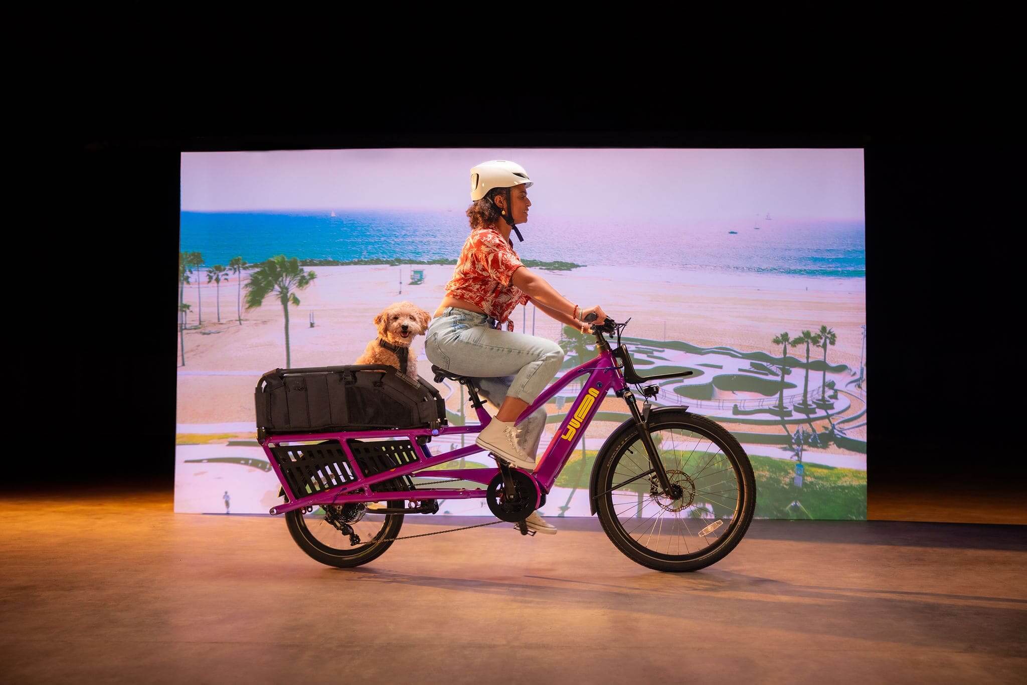 Yuba SPICY CURRY V4 Longtail Electric Cargo Bike