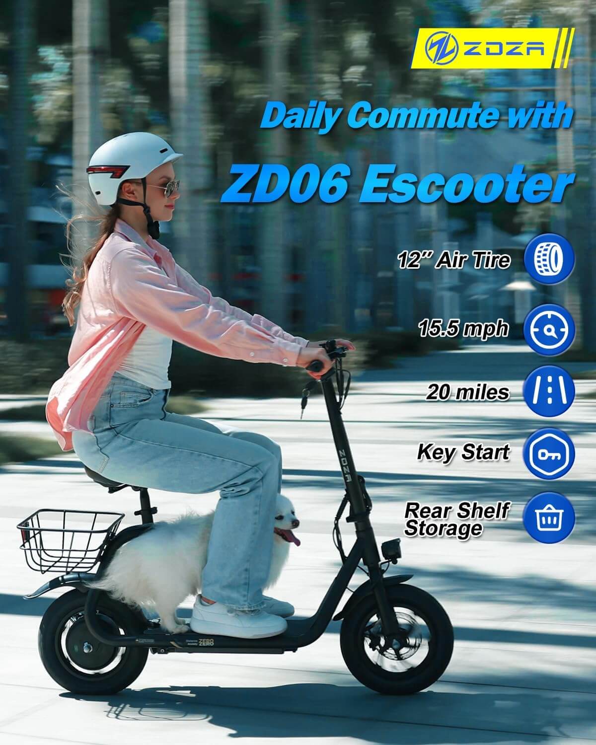 ZDZA ZD06 800W Foldable Electric Scooter with Seat, Basket
