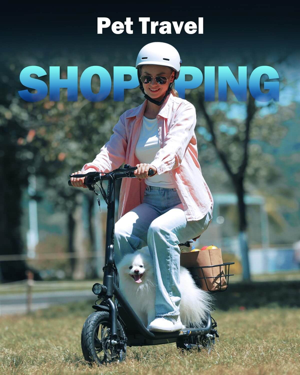 Zdza ZDZA ZD06 800W Foldable Electric Scooter with Seat, Basket — Upzy.com