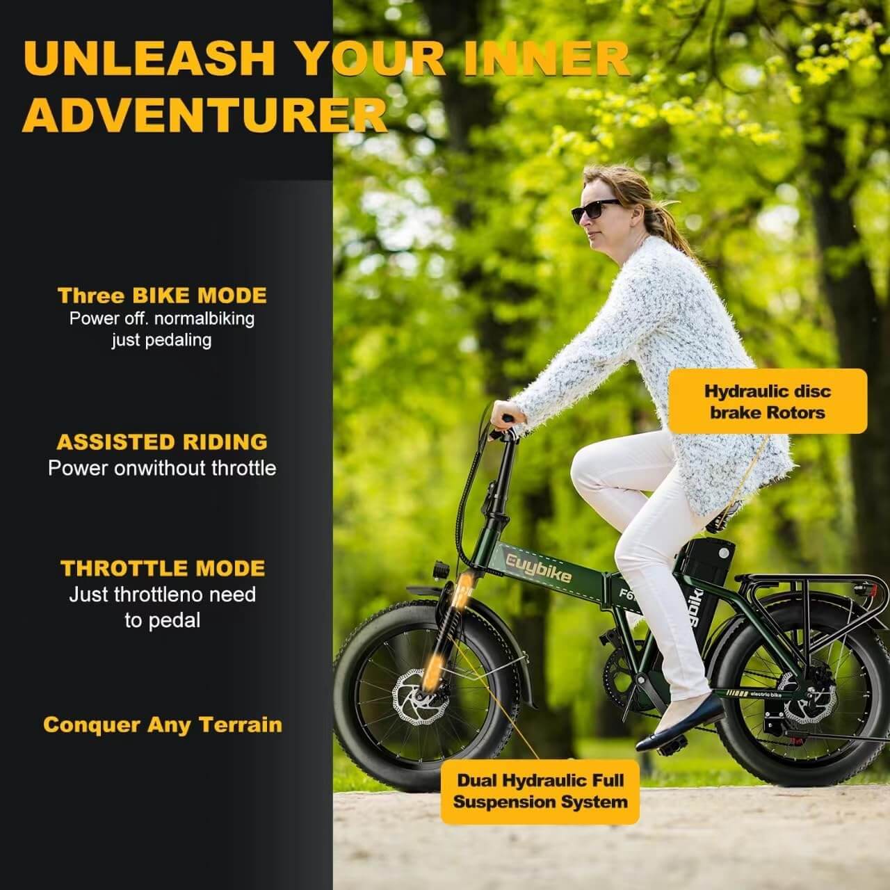 Auloor 1000W 48V 20Ah Folding Beach Fat Tire Electric Bike