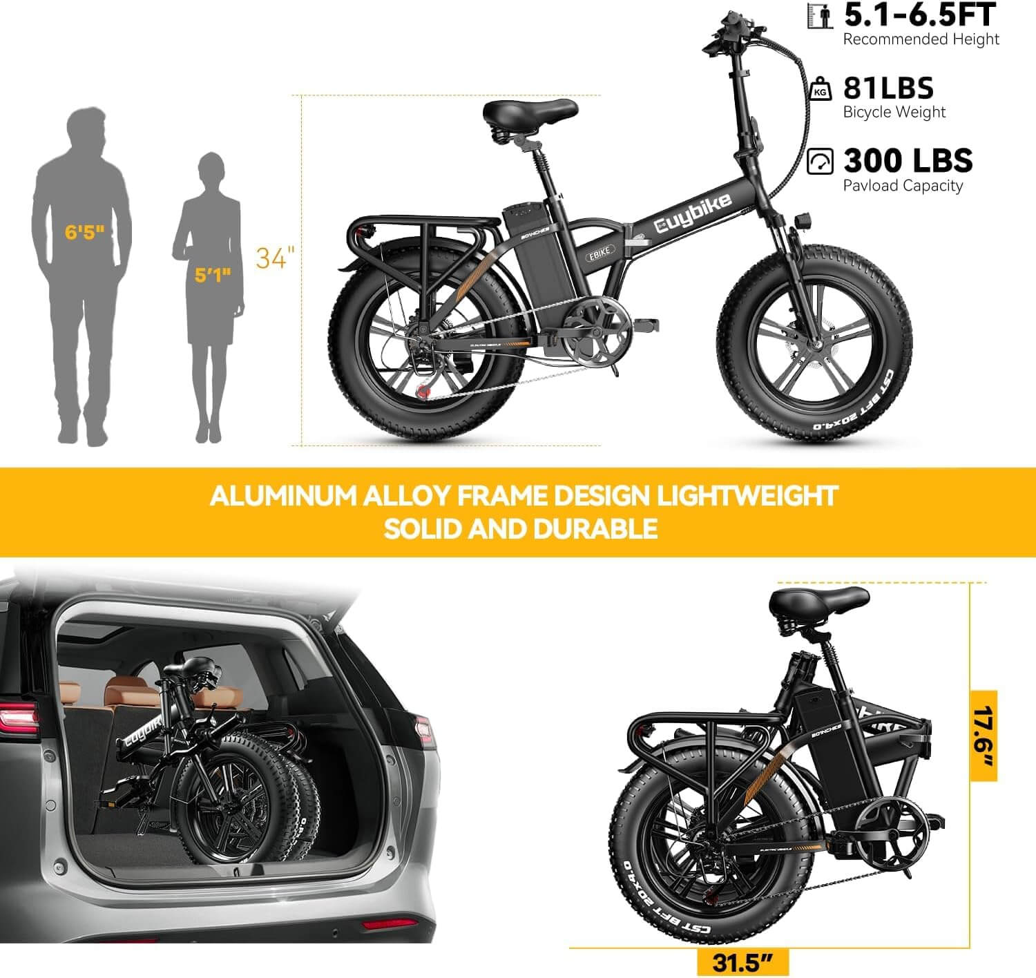 Auloor 1000W 48V 20Ah Folding Beach Fat Tire Electric Bike