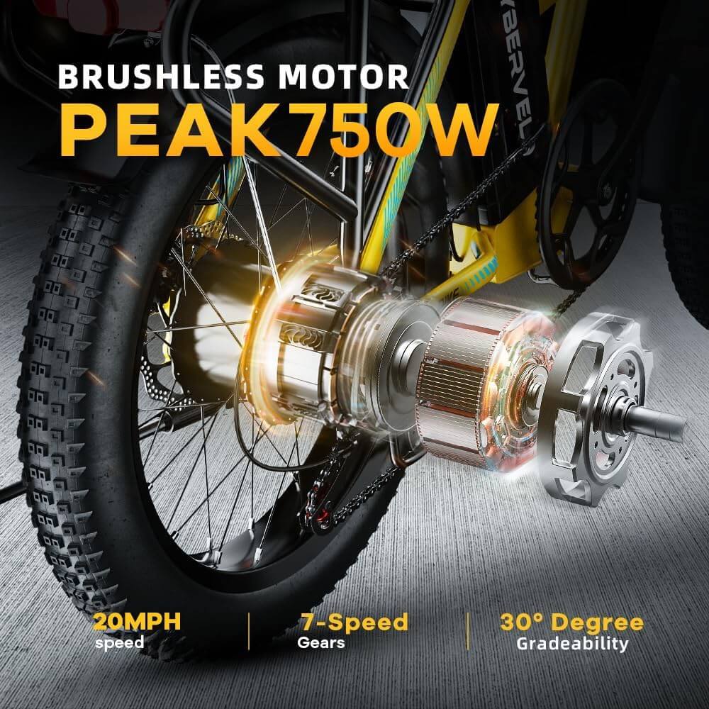 Cybervelo 20" EK5 750W 48V 16Ah Full Suspension Adults Folding Electric Bike