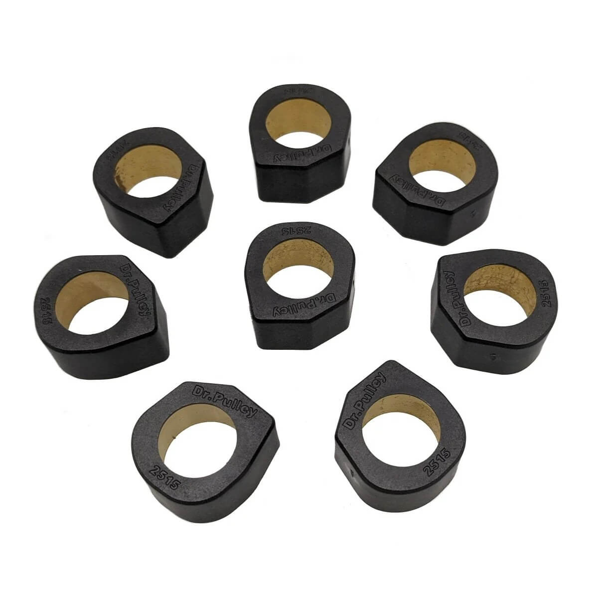 Dr. Pulley 25x15 SLIDING Roller Weights, 169-344