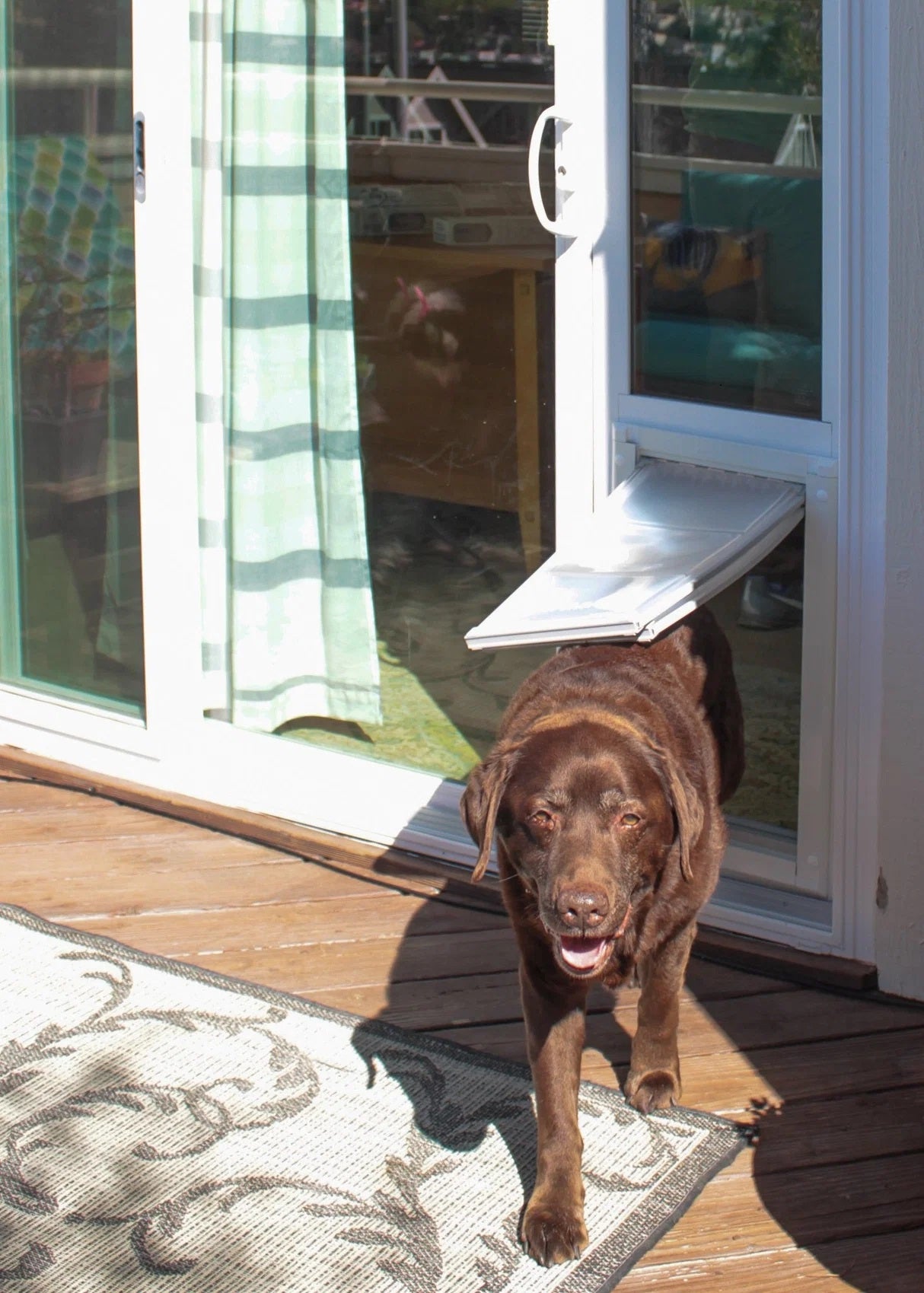 Endura Flap SEVERE WEATHER VINYL Sliding Glass Dog Door