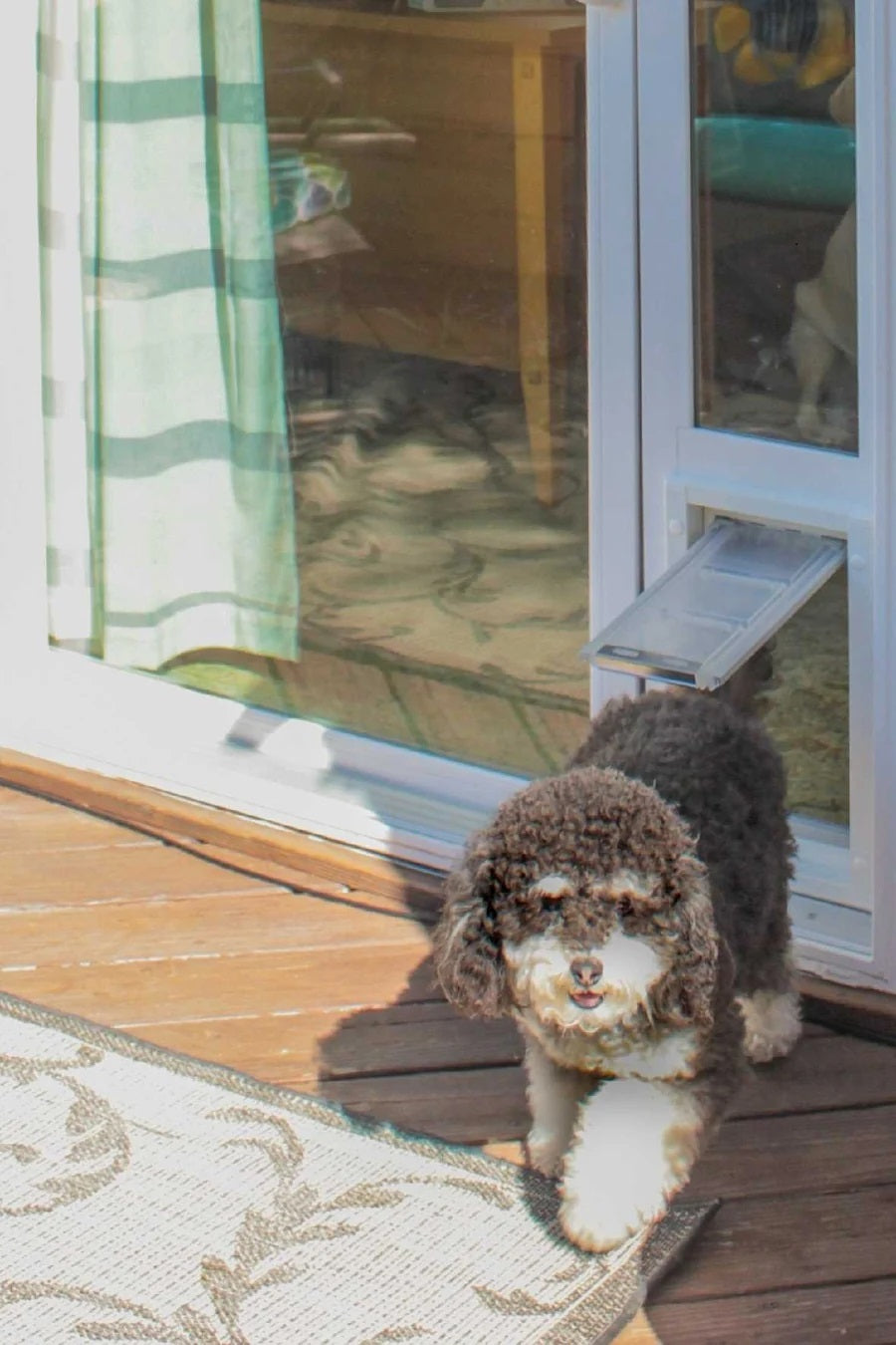 Endura Flap VINYL Sliding Glass Dog Door