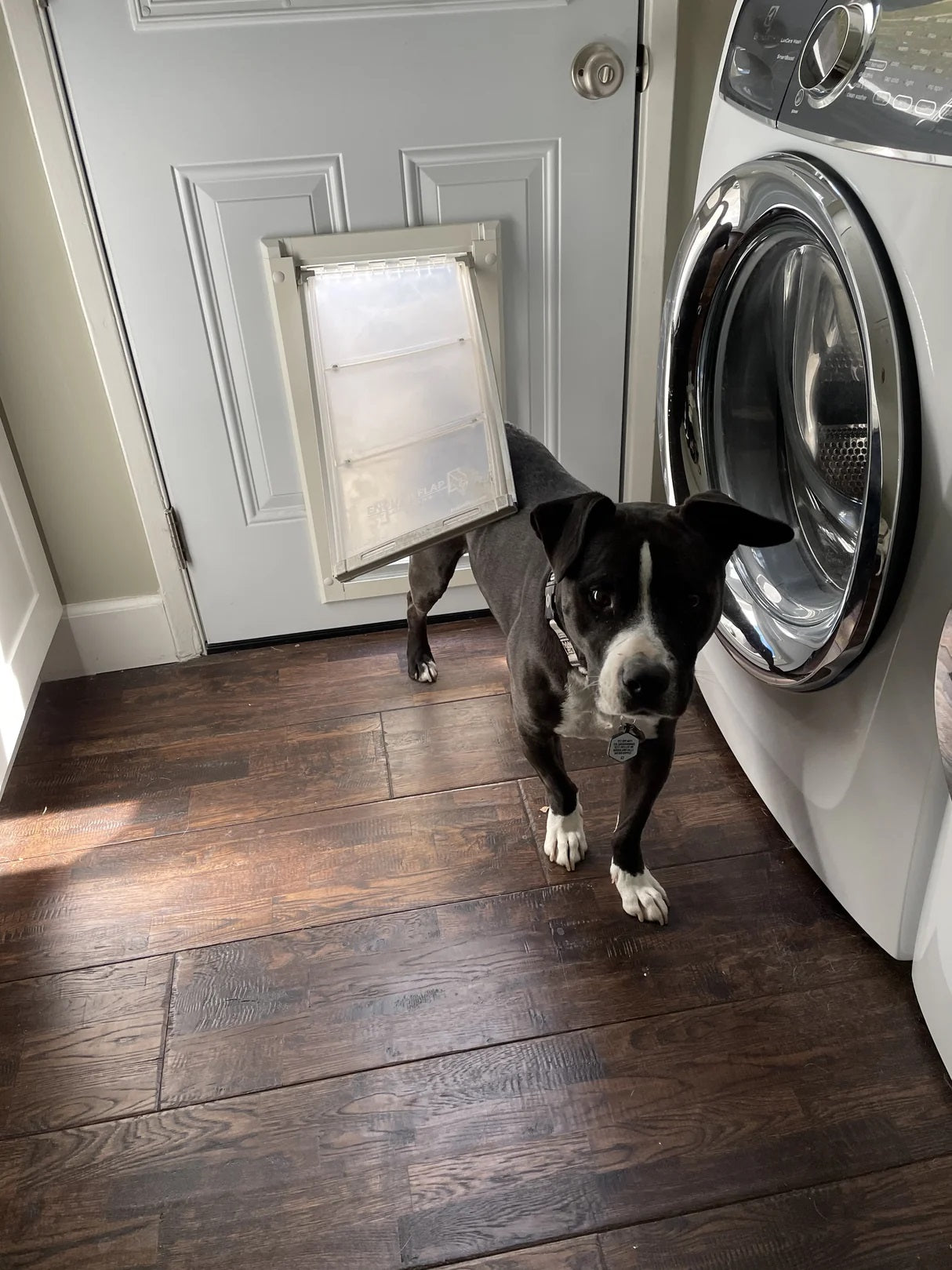 Endura Patio Pacific SINGLE FLAP, DOOR MOUNT Pet Door