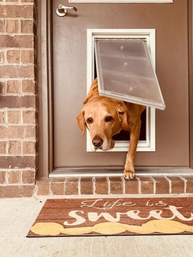 Endura Patio Pacific SINGLE FLAP, DOOR MOUNT Pet Door