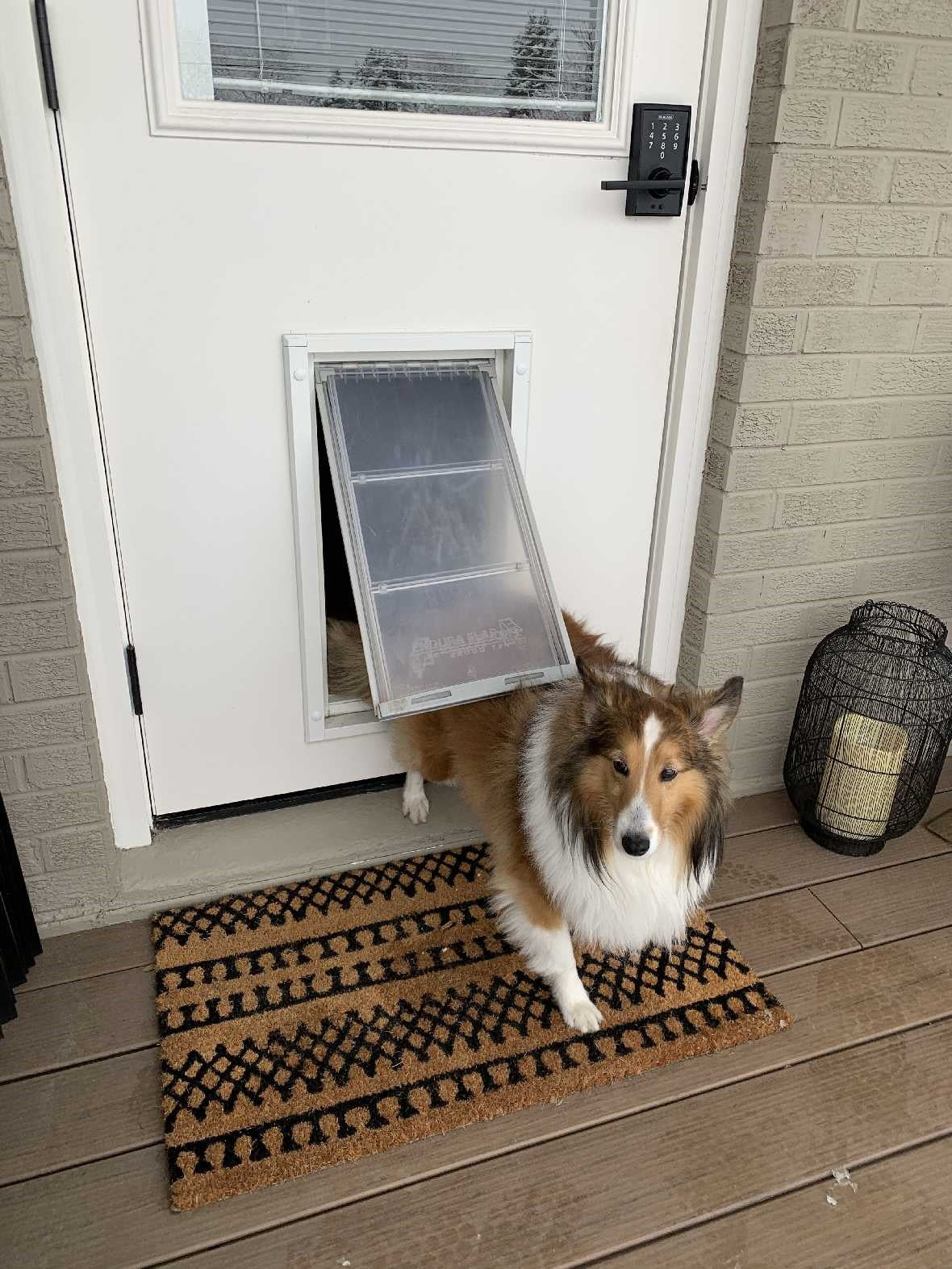 Endura Patio Pacific SINGLE FLAP for THIN DOORS Pet Door