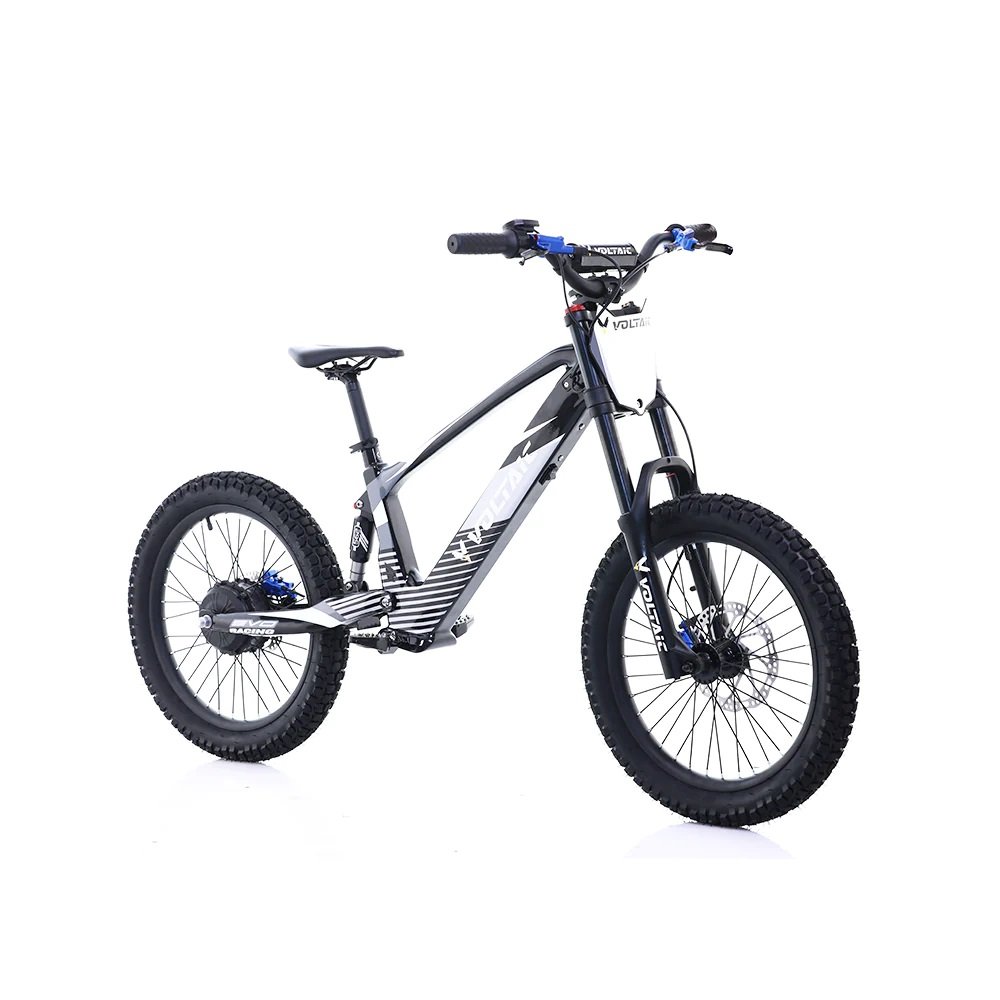 Voltaic 20'' FLYING FOX 750W 36V Youth Electric Dirt Bike, VKD-20BK