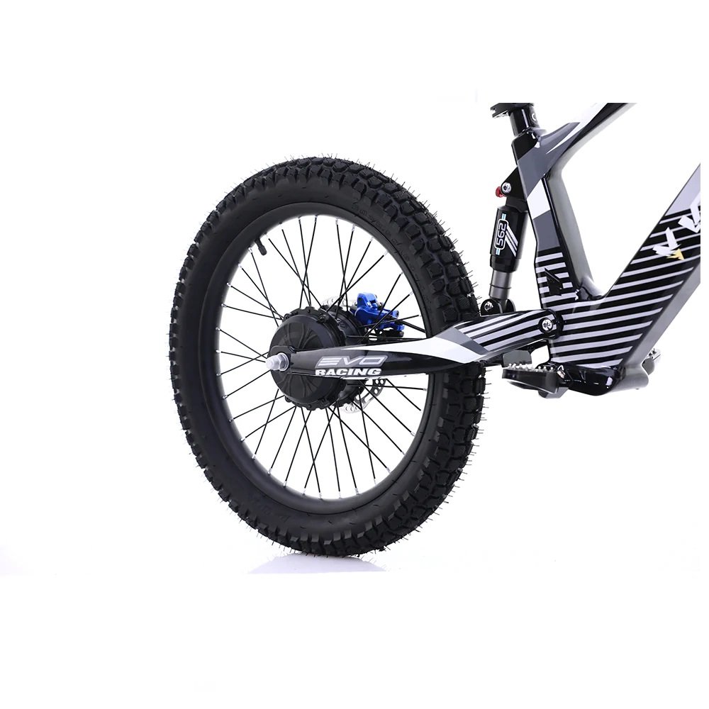 Voltaic 20'' FLYING FOX 750W 36V Youth Electric Dirt Bike, VKD-20BK
