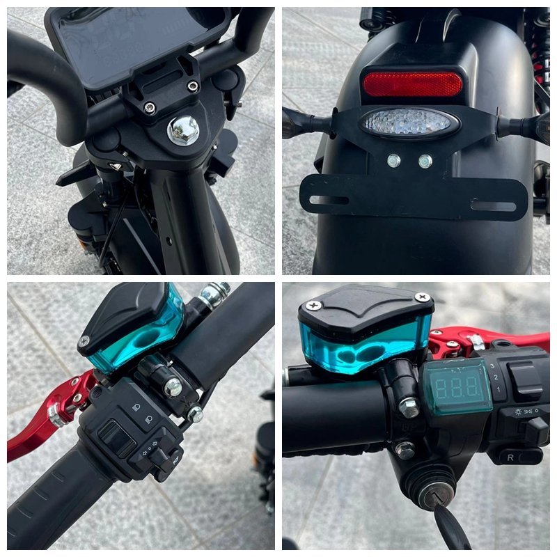 LinksEride CP9 Luxury Citycoco 4000W 60V 50Ah Fat Tire Lithium Electric Scooter