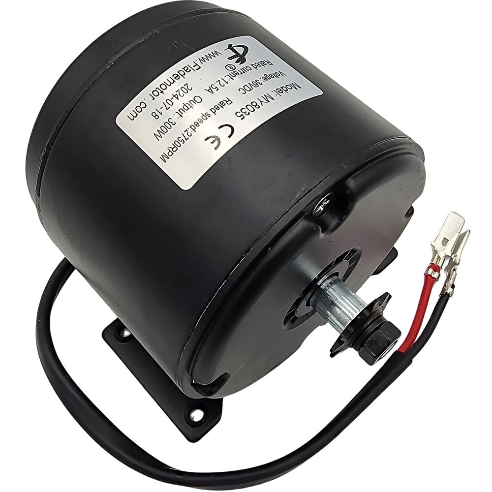 MotoTec Replacement MOTOR for 36V 300W (HP122e) Electric Dirt Bike