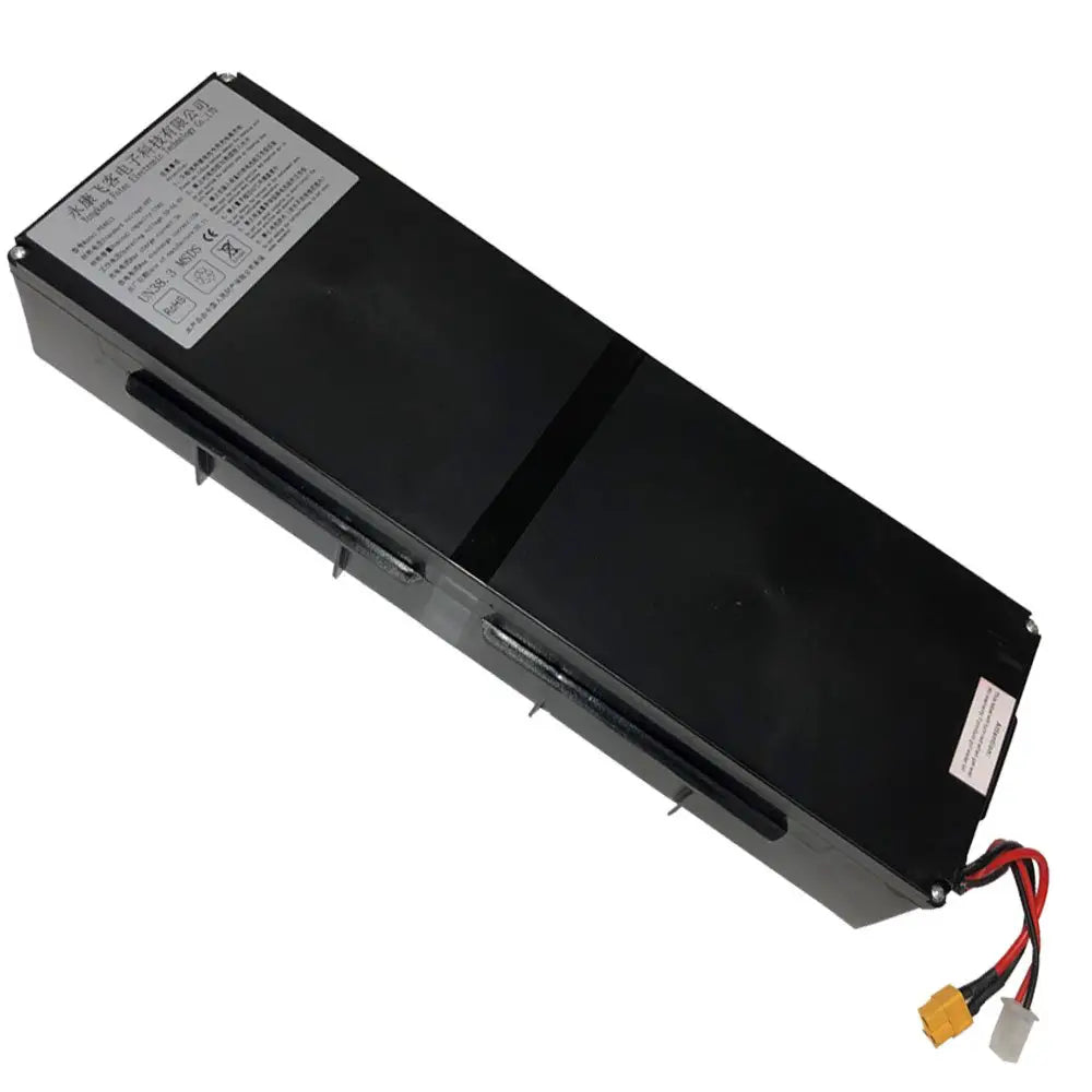 MotoTec Replacement 600W 48V LITHIUM BATTERY for Free Ride Electric Scooter